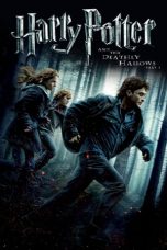 Nonton Film Harry Potter and the Deathly Hallows: Part 1 Subtitle Indonesia