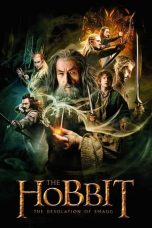 Nonton Film The Hobbit: The Desolation of Smaug Subtitle Indonesia