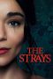 Nonton Film The Strays Subtitle Indonesia