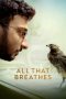 Nonton Film All That Breathes Subtitle Indonesia