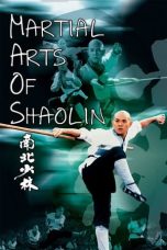 Nonton Film Martial Arts of Shaolin Subtitle Indonesia