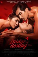 Nonton Film Bridge of Destiny Subtitle Indonesia
