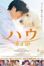 Nonton Film Haw Subtitle Indonesia