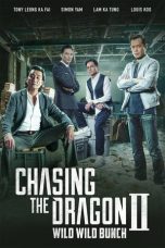 Nonton Film Chasing the Dragon II Subtitle Indonesia