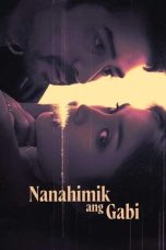 Nonton Film Nanahimik ang Gabi Subtitle Indonesia