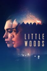 Nonton Film Little Woods Subtitle Indonesia
